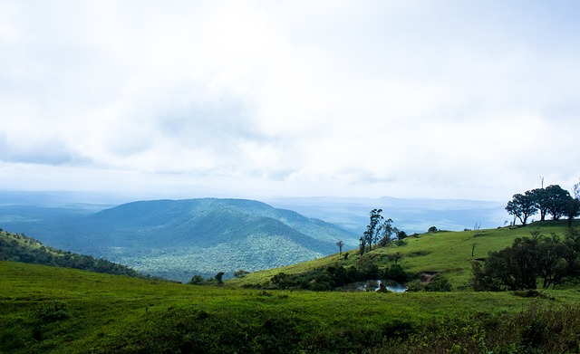 其薪资待遇 其薪资待遇