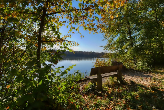 刻的突出表 刻的突出表