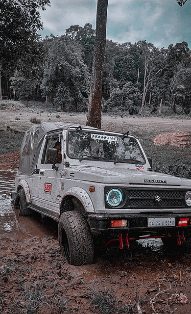 盟的排名产 盟的排名产