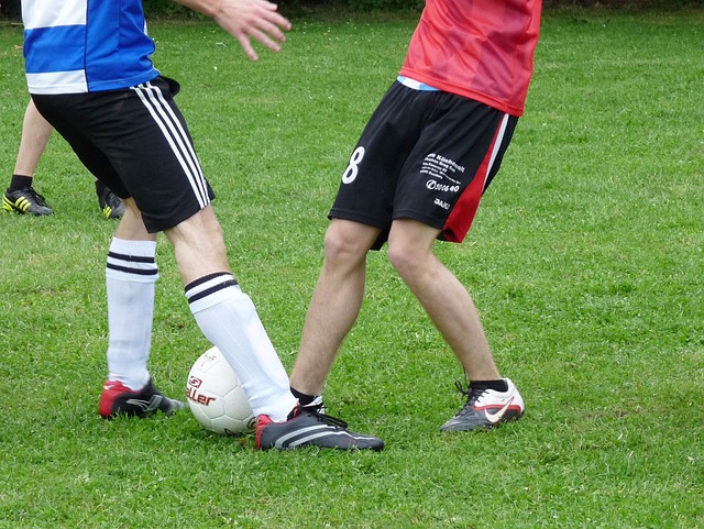 世界的球迷 世界的球迷